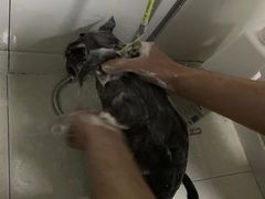 -佳雯宠物医院(金华南路分院)