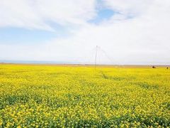 -青海湖国家重点风景名胜区售票处