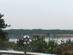-大湾区中央湿地公园