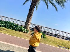 -野狸岛