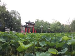 -四川大学(望江校区)