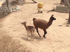 -西安秦岭野生动物园