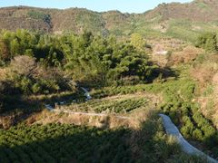 -塔川景区
