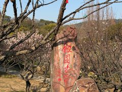 -无锡梅园公园