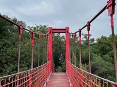-上海吴淞炮台湾国家湿地公园