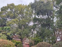 -南岳衡山风景名胜区-南岳大庙