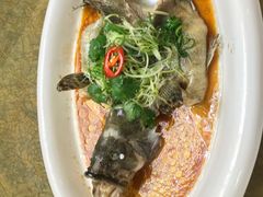 清蒸海上斑-渔民新村(番禺总店)