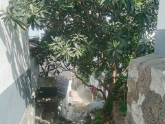 -苏州吴中太湖旅游区