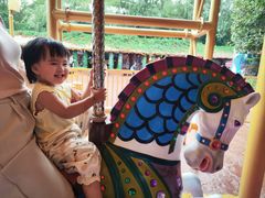 -郑州方特梦幻王国