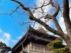 -龙华寺