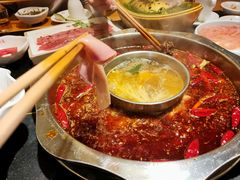 -一斗火锅·招财羊毛肚(北温泉九号店)