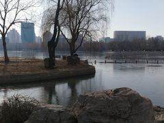 -莲花池公园