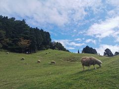 -神户市立六甲山牧场