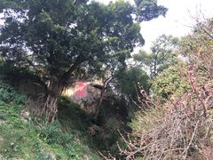 -乌山风景区