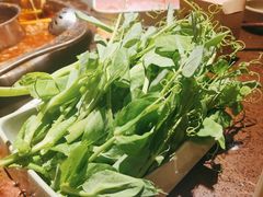 -巴倒烫陆派火锅山庄(南山总店)