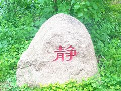 -黑龙江省森林植物园