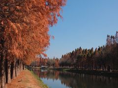 -捞渔河湿地公园