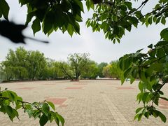 -朝阳公园