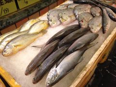 -华兴大酒楼(亿宝大厦店)