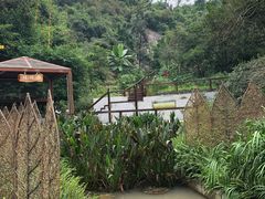 -石排湾郊野公园
