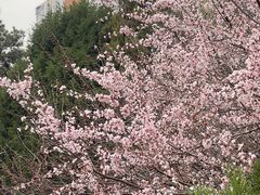 -太阳宫公园