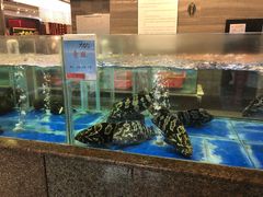 -大铁勺新津菜(迎水道店)