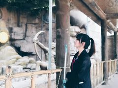 -太阳部落
