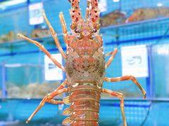 -锦里海景海鲜餐厅.三亚老字号(亚龙湾中心广场店)