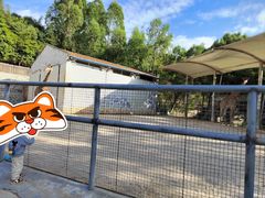 -泉州海丝野生动物世界