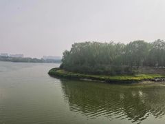 -大兴滨河森林公园