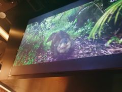 -404干式熟成牛排馆•聚会餐厅