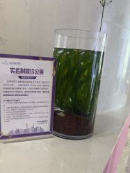 -南京美莱医疗美容·旗舰店