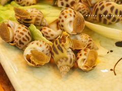 花螺-棠宴酒店(汉口学院店)