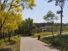 -东郊湿地公园