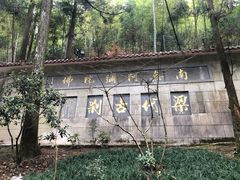 -东天目山风景区