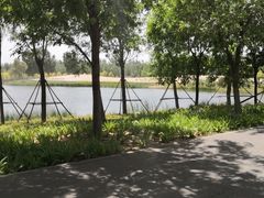 -东郊湿地公园