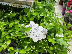 -三旗百汇商品城