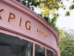 门面-WHEN PIGS FLY当猪飞
