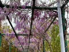 -沂蒙云瀑洞天景区