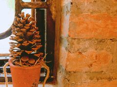 -西关84·History·Art·Cafe