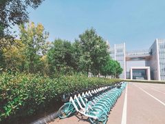 -山东师范大学(千佛山校区)