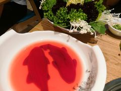 -青瓷火锅料理(西单大悦城店)