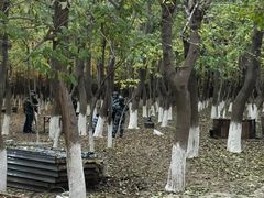 -亲兄弟真人CS团建拓展基地