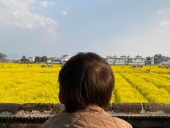 -喜林苑·稻田餐厅(品相府店)