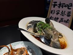 清蒸龙胆石斑鱼-鑫悦楼煎蟹·16年海鲜大排档