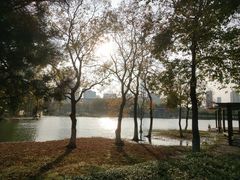 -白塘生态植物园