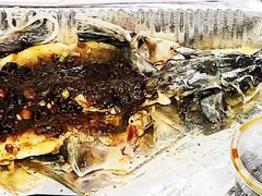 豉椒蒸寻龙鱼-万龙洲海鲜(大兴绿地缤纷城店)