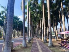 -南宁花花大世界景区