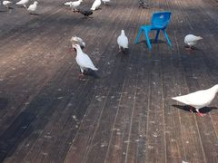 -南昌之星游乐场