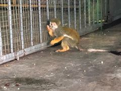 -西安秦岭野生动物园